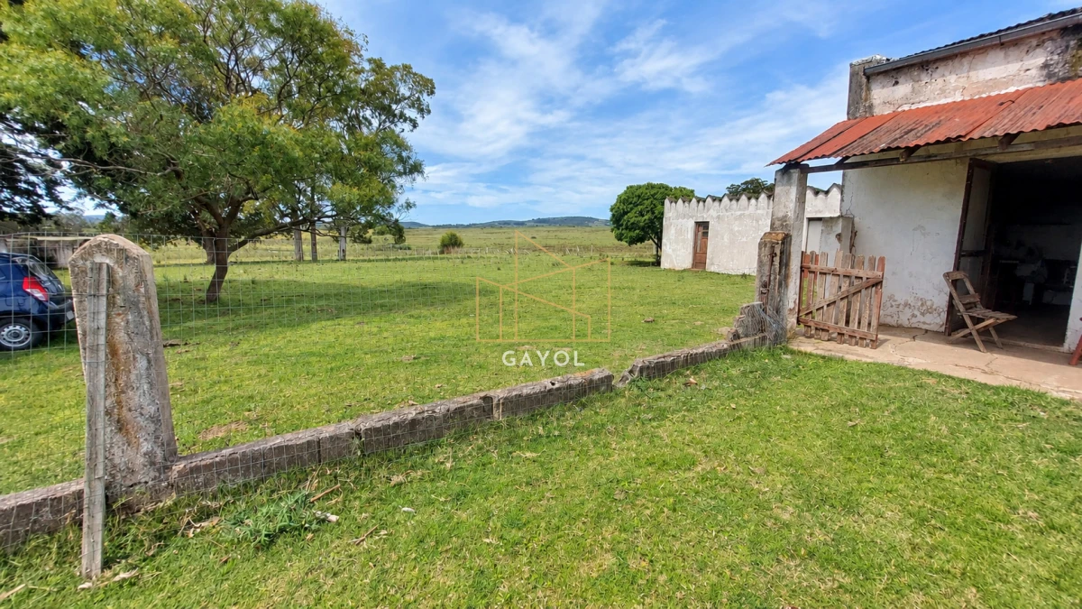 Campo Ref.1559 - Campo ganadero 30 ha en Ruta 9