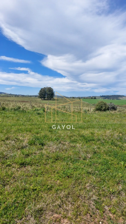 Campo Ref.1559 - Campo ganadero 30 ha en Ruta 9