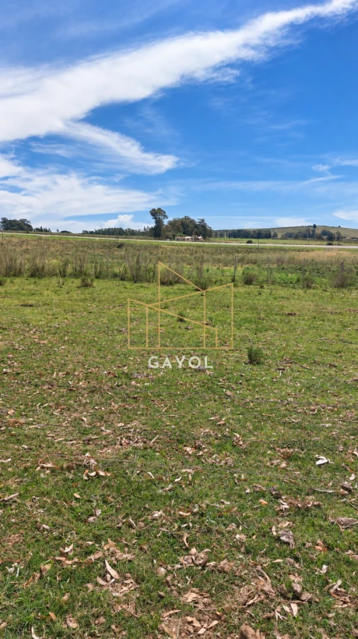 Campo Ref.1559 - Campo ganadero 30 ha en Ruta 9