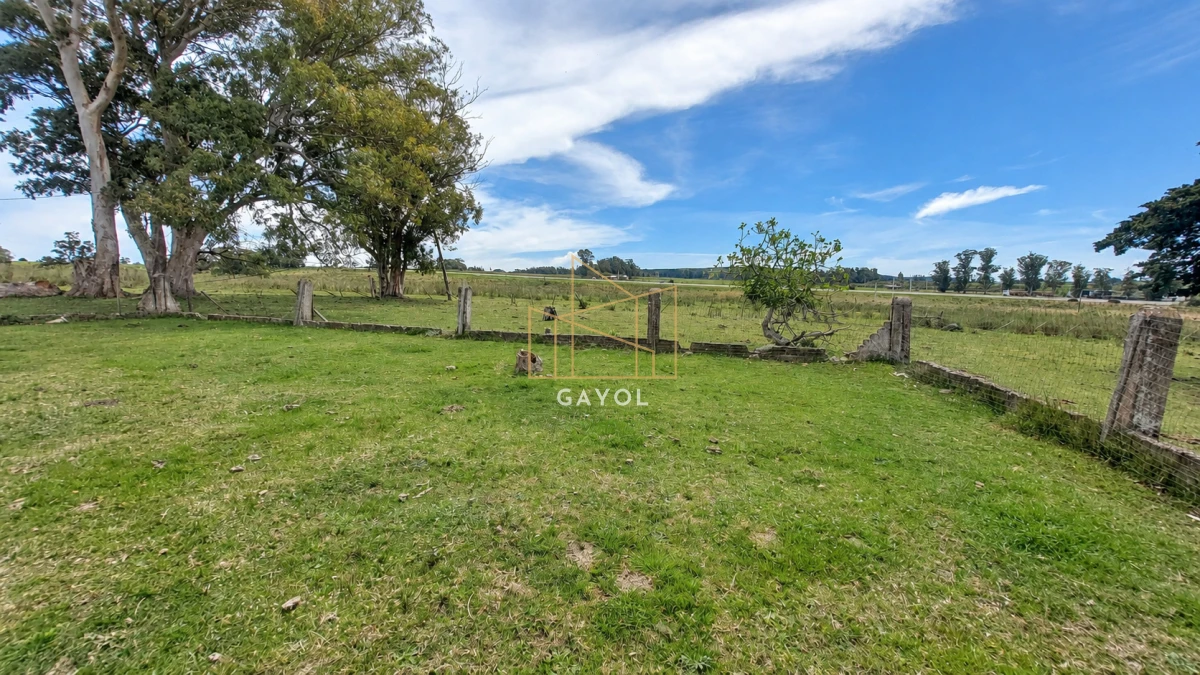 Campo Ref.1559 - Campo ganadero 30 ha en Ruta 9