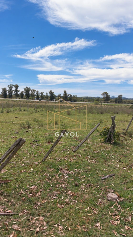 Campo Ref.1559 - Campo ganadero 30 ha en Ruta 9