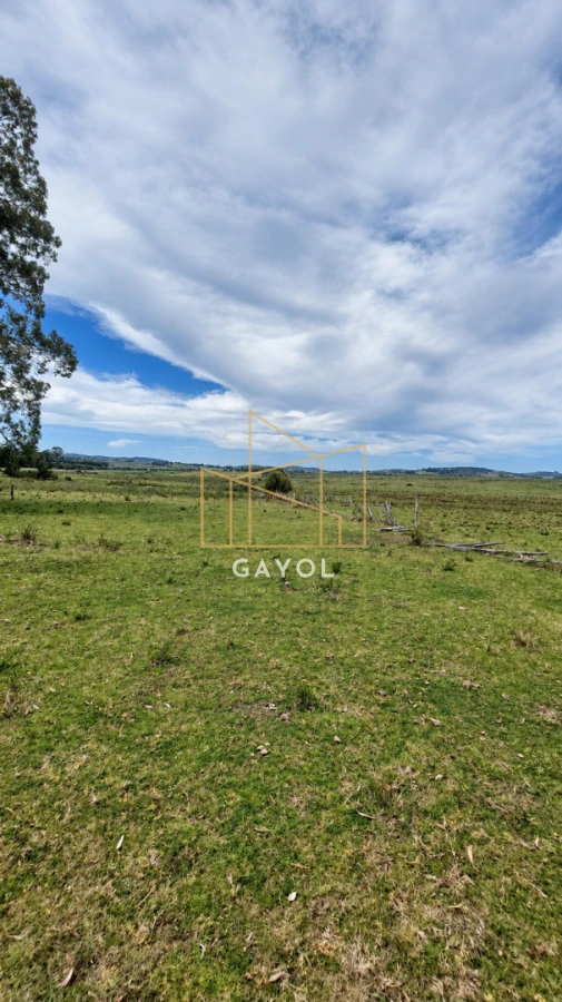 Campo Ref.1559 - Campo ganadero 30 ha en Ruta 9