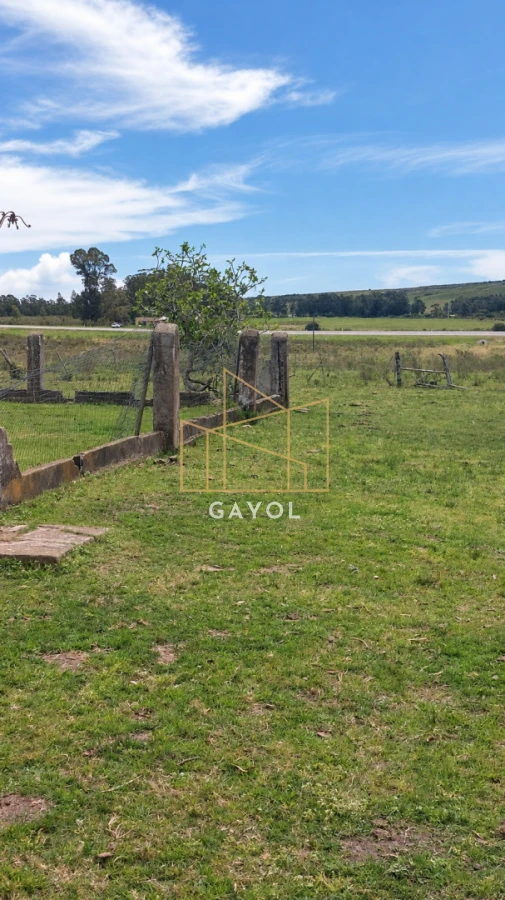 Campo Ref.1559 - Campo ganadero 30 ha en Ruta 9