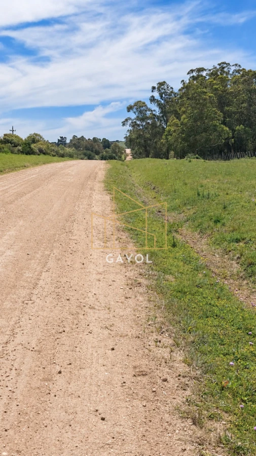 Campo Ref.1559 - Campo ganadero 30 ha en Ruta 9