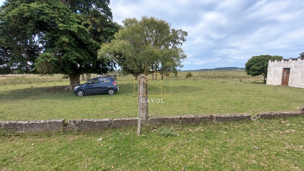 Campo Ref.1559 - Campo ganadero 30 ha en Ruta 9