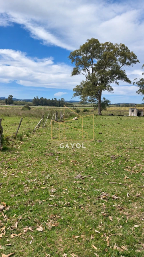 Campo Ref.1559 - Campo ganadero 30 ha en Ruta 9