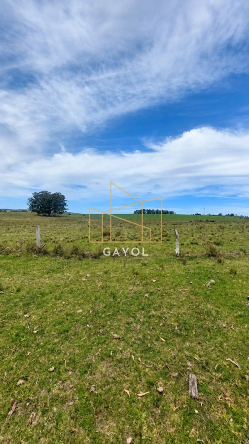 Campo Ref.1559 - Campo ganadero 30 ha en Ruta 9