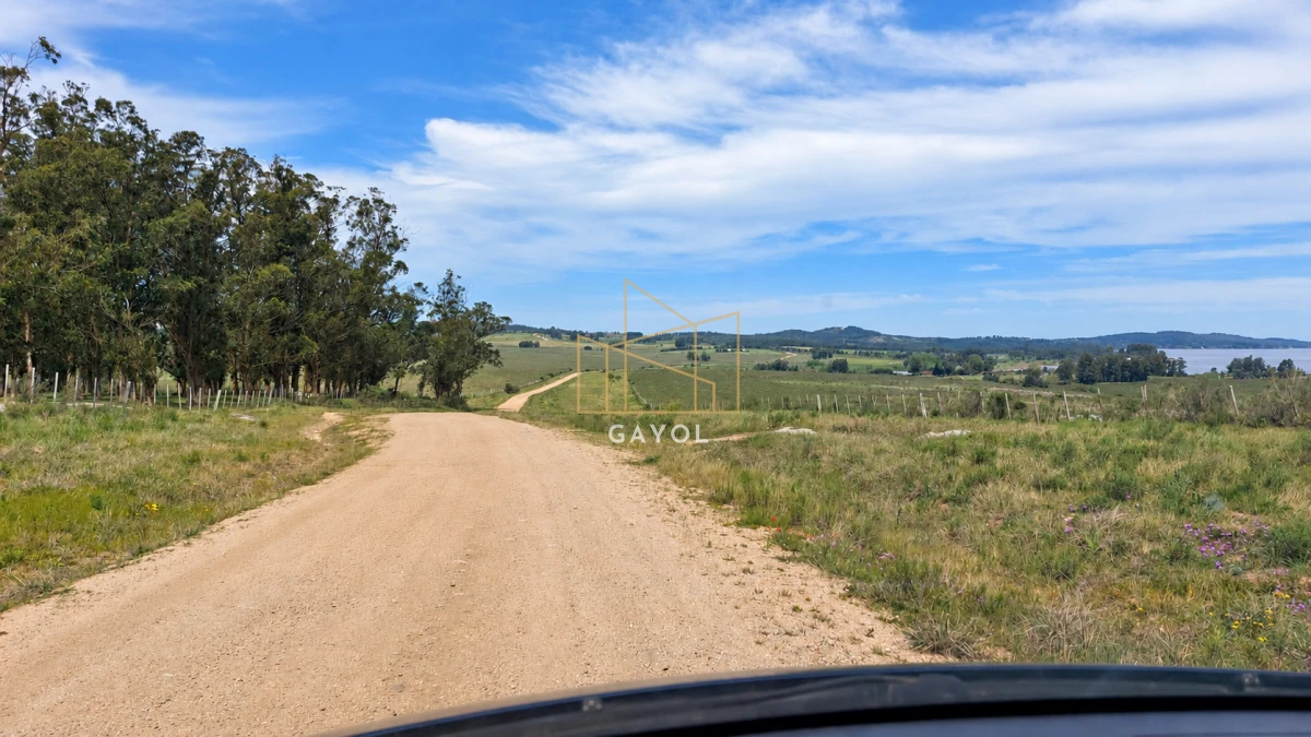Campo Ref.1559 - Campo ganadero 30 ha en Ruta 9