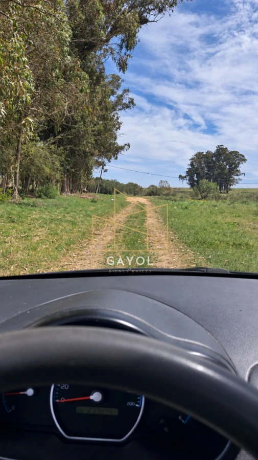 Campo Ref.1559 - Campo ganadero 30 ha en Ruta 9