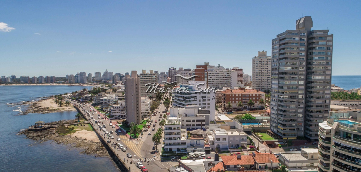 Apartamento ID.129 - Excepcional Penthouse en edificio Monarca 2 suites gran terraza
