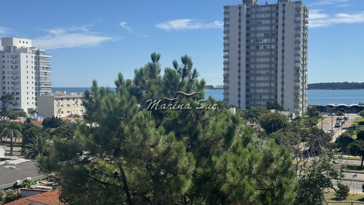 Apartamento ID.327 - VENTA DE APARTAMETNTO DOS DORMITORIOS MUY BIEN UBICADO