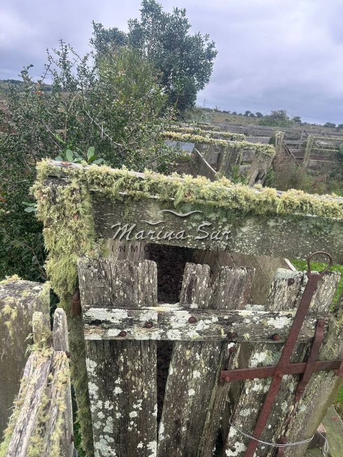 Chacra ID.106 - Chacra En Venta Paraje Las Cañas