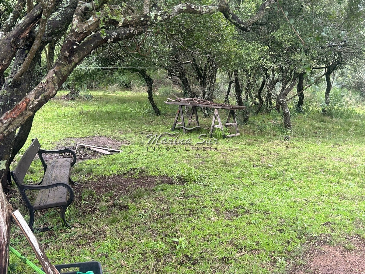 Chacra ID.106 - Chacra En Venta Paraje Las Cañas