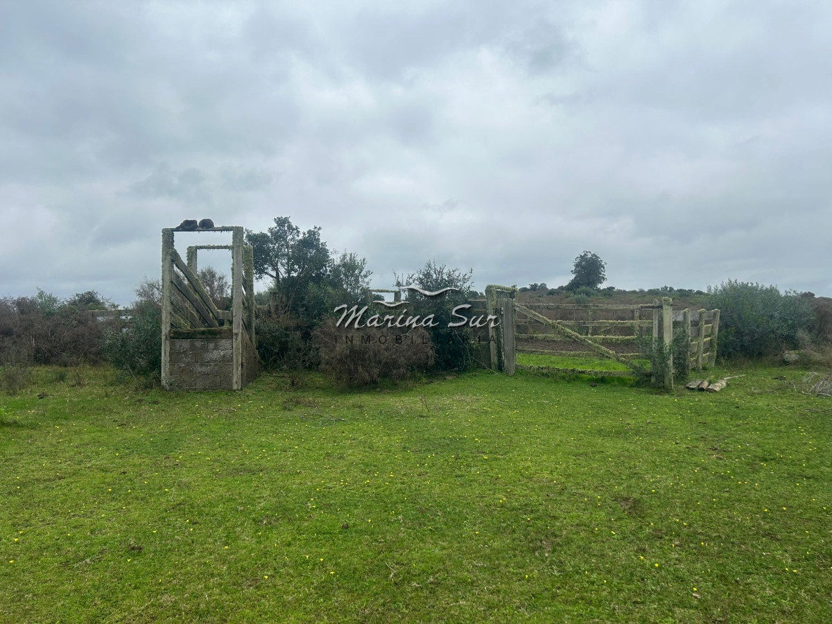 Chacra ID.106 - Chacra En Venta Paraje Las Cañas