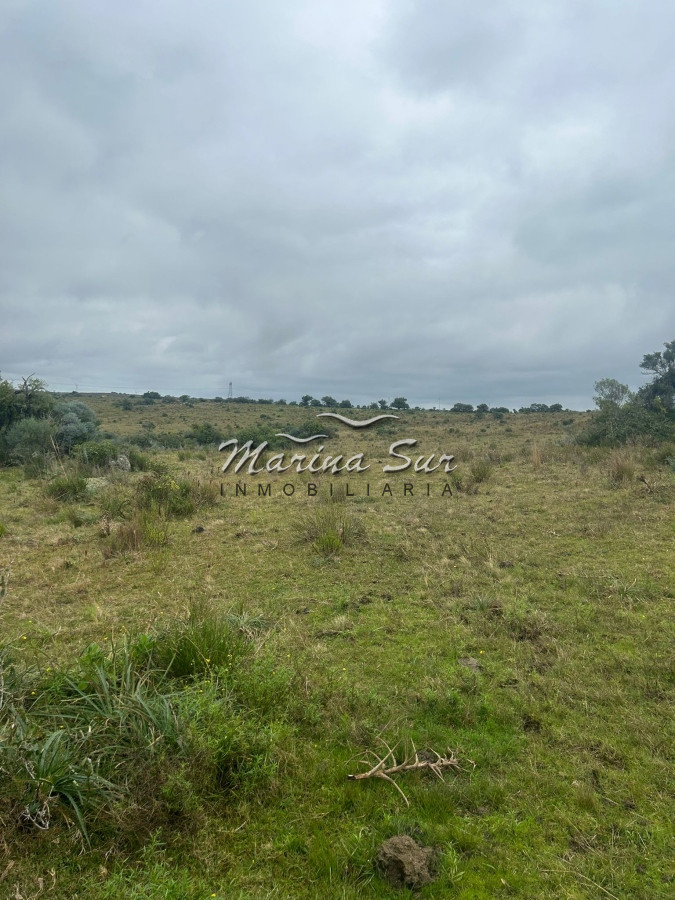 Chacra ID.106 - Chacra En Venta Paraje Las Cañas
