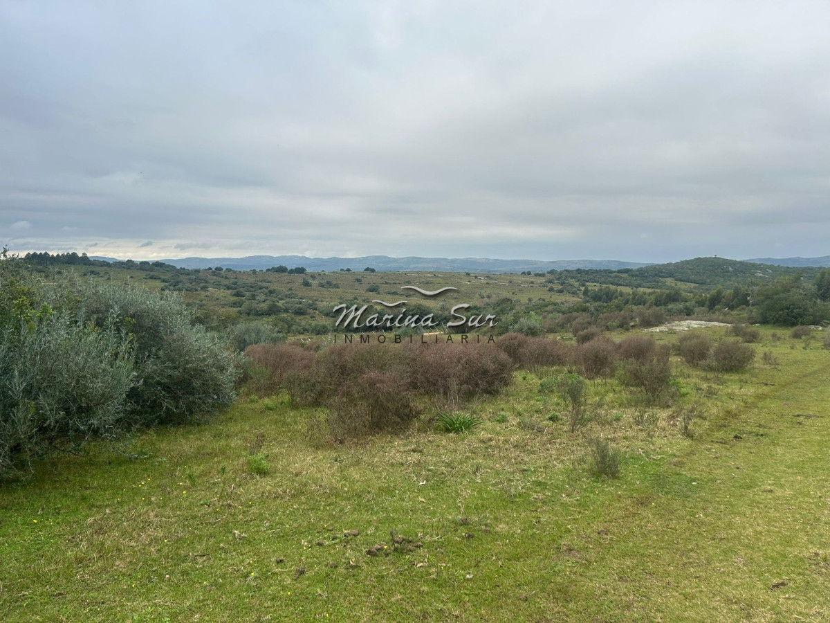 Chacra ID.106 - Chacra En Venta Paraje Las Cañas