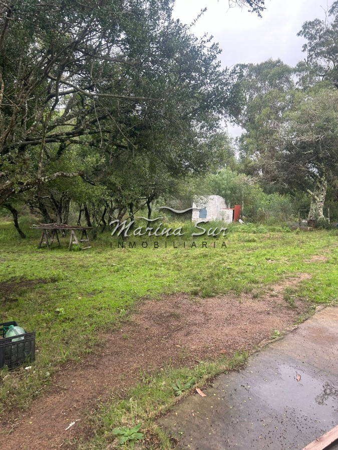 Chacra ID.106 - Chacra En Venta Paraje Las Cañas
