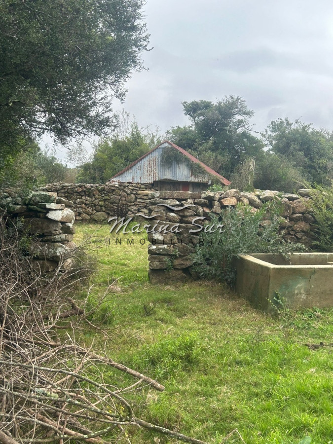 Chacra ID.106 - Chacra En Venta Paraje Las Cañas