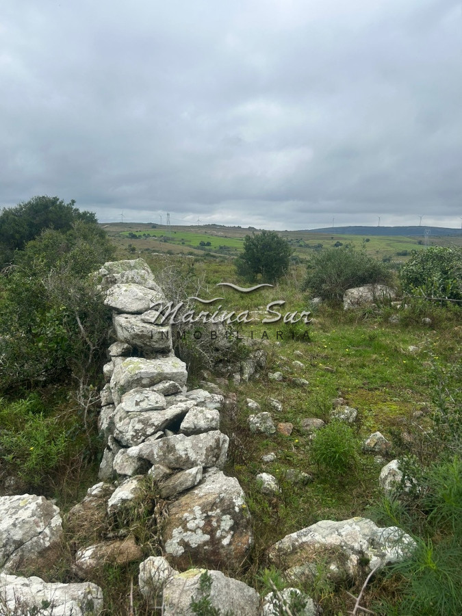 Chacra ID.106 - Chacra En Venta Paraje Las Cañas