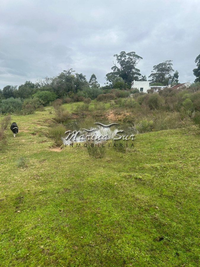 Chacra ID.106 - Chacra En Venta Paraje Las Cañas