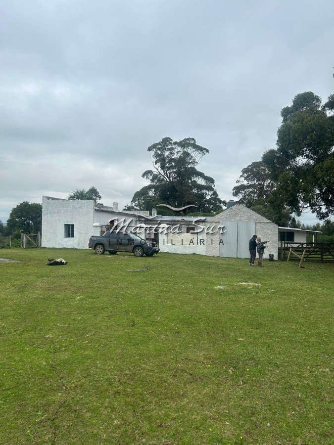 Chacra ID.106 - Chacra En Venta Paraje Las Cañas