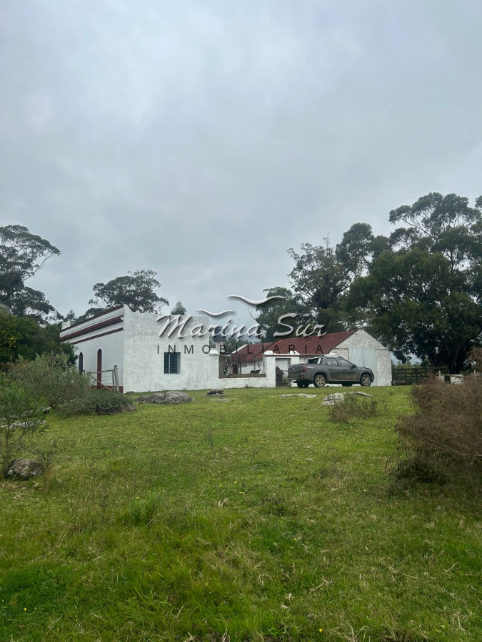 Chacra ID.106 - Chacra En Venta Paraje Las Cañas