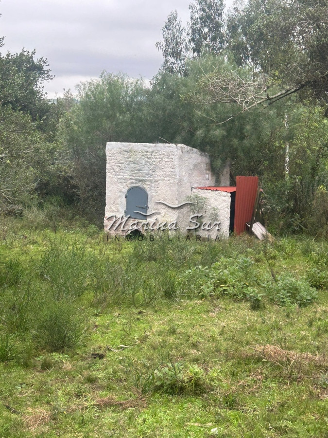 Chacra ID.106 - Chacra En Venta Paraje Las Cañas