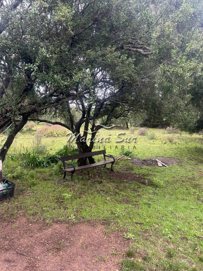 Chacra ID.106 - Chacra En Venta Paraje Las Cañas