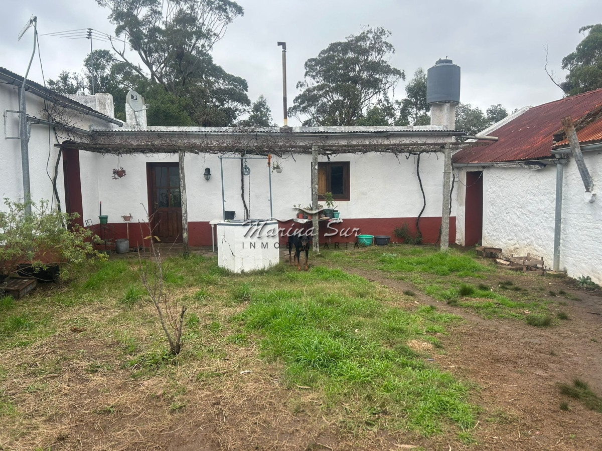 Chacra ID.106 - Chacra En Venta Paraje Las Cañas
