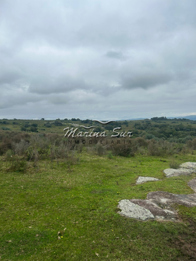 Chacra ID.106 - Chacra En Venta Paraje Las Cañas