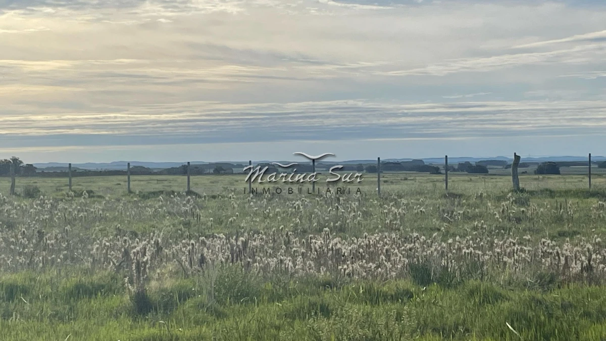 Chacra ID.74 - Permuta - Chacra de 34 ha. a 500 metros de desarrollo Las Garzas. Permuta - Venta