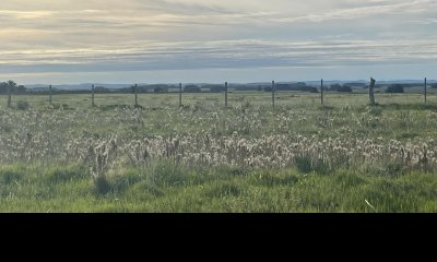 Permuta - Chacra de 34 ha. a 500 metros de desarrollo Las Garzas. Permuta - Venta