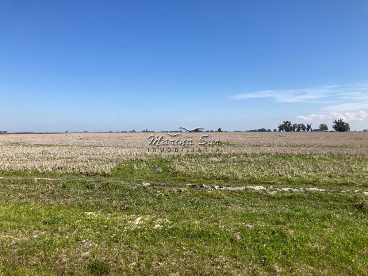 Campo Ref.84 - Campo en Venta 304 en Treinta y Tres