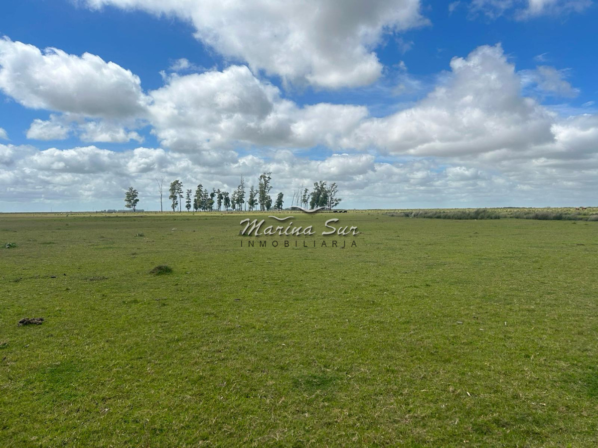 Campo Ref.82 - En Venta 77ha en Treinta Y Tres