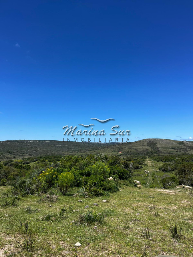 Campo Ref.313 - Espectacular campo en venta, 104 hás, ideal inversión ganadera o para fraccionar en chacras o lotes. 