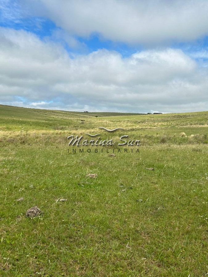 Campo Ref.83 - Campo en Venta 75ha Treinta y Tres