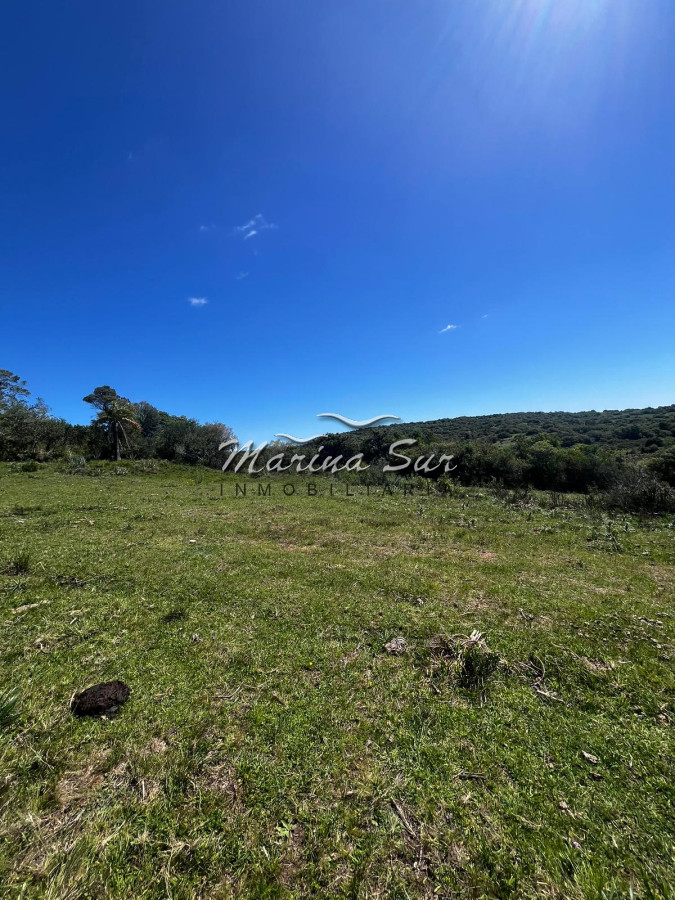 Campo Ref.313 - Espectacular campo en venta, 104 hás, ideal inversión ganadera o para fraccionar en chacras o lotes. 
