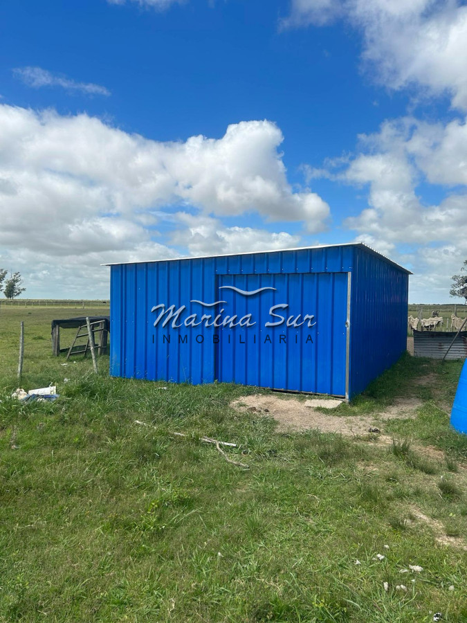 Campo Ref.82 - En Venta 77ha en Treinta Y Tres