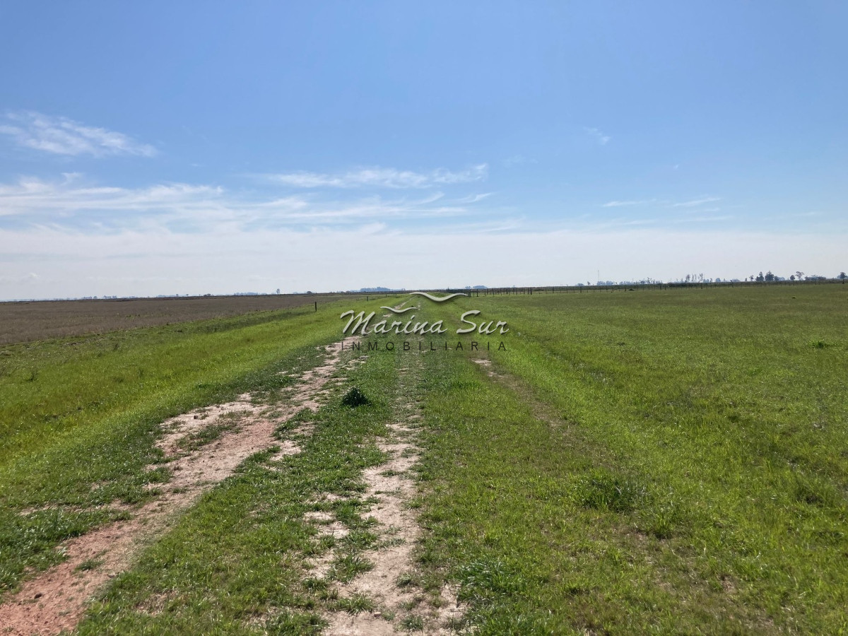 Campo Ref.84 - Campo en Venta 304 en Treinta y Tres