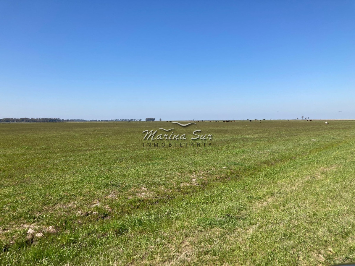 Campo Ref.84 - Campo en Venta 304 en Treinta y Tres