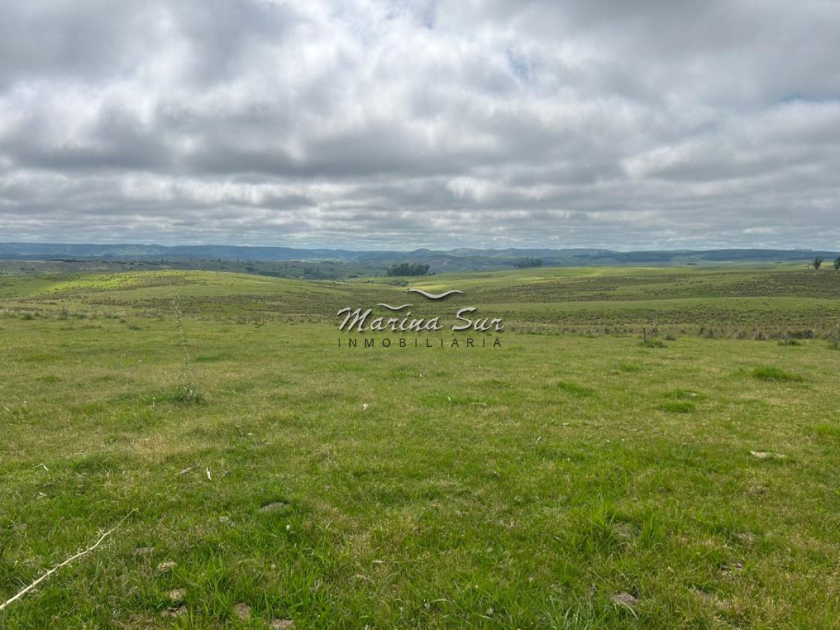 Campo Ref.83 - Campo en Venta 75ha Treinta y Tres