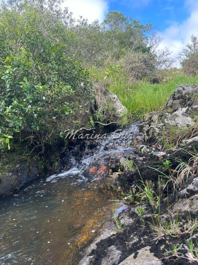 Campo Ref.83 - Campo en Venta 75ha Treinta y Tres