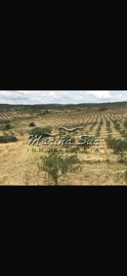 Campo Ref.313 - Espectacular campo en venta, 104 hás, ideal inversión ganadera o para fraccionar en chacras o lotes. 