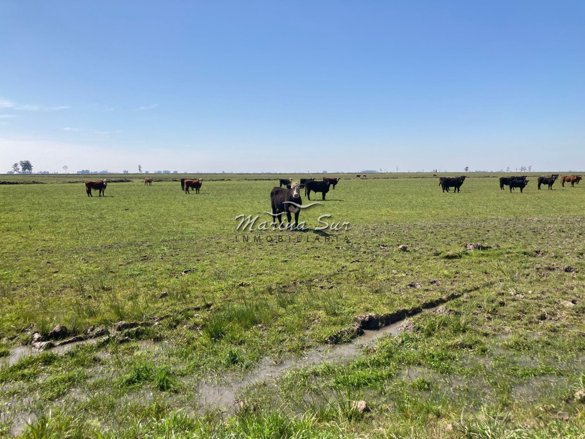 Campo Ref.84 - Campo en Venta 304 en Treinta y Tres
