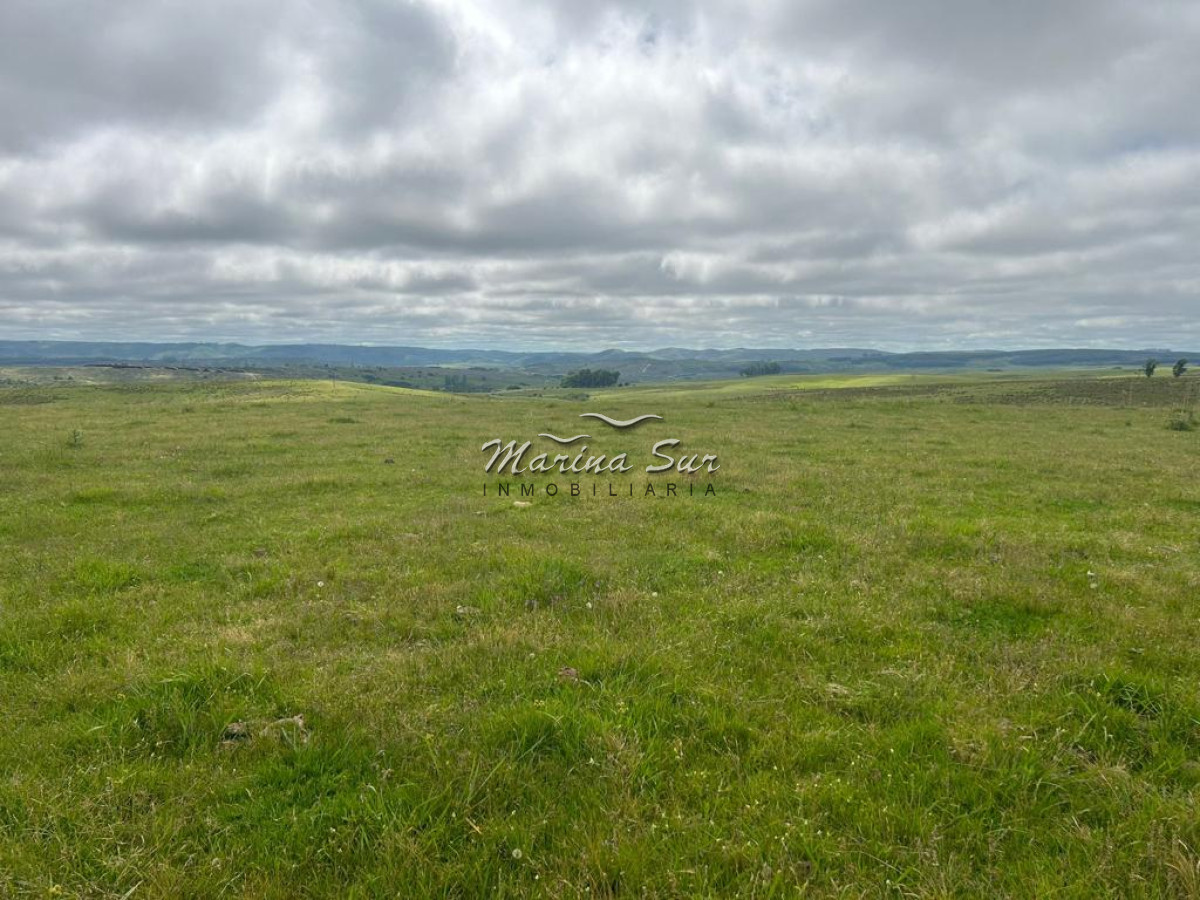Campo Ref.83 - Campo en Venta 75ha Treinta y Tres