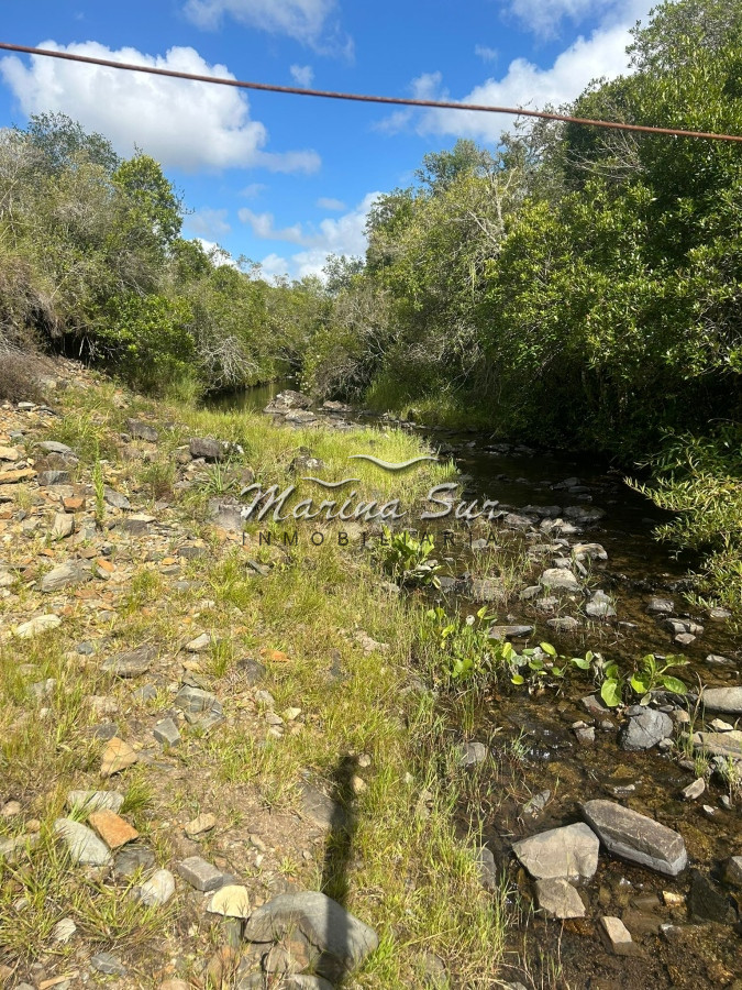 Campo Ref.81 - Campo En Venta 220ha Treinta y Tres