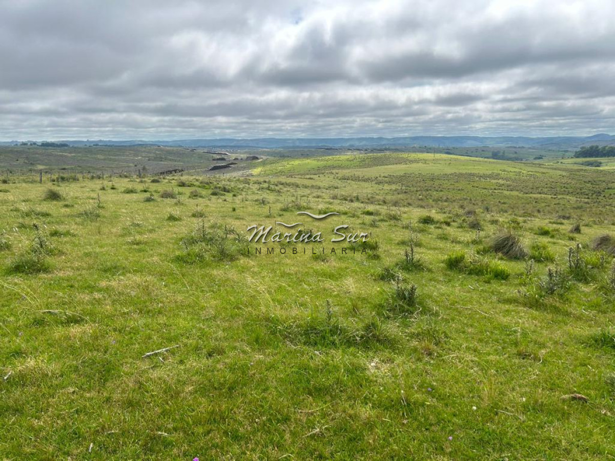 Campo Ref.83 - Campo en Venta 75ha Treinta y Tres