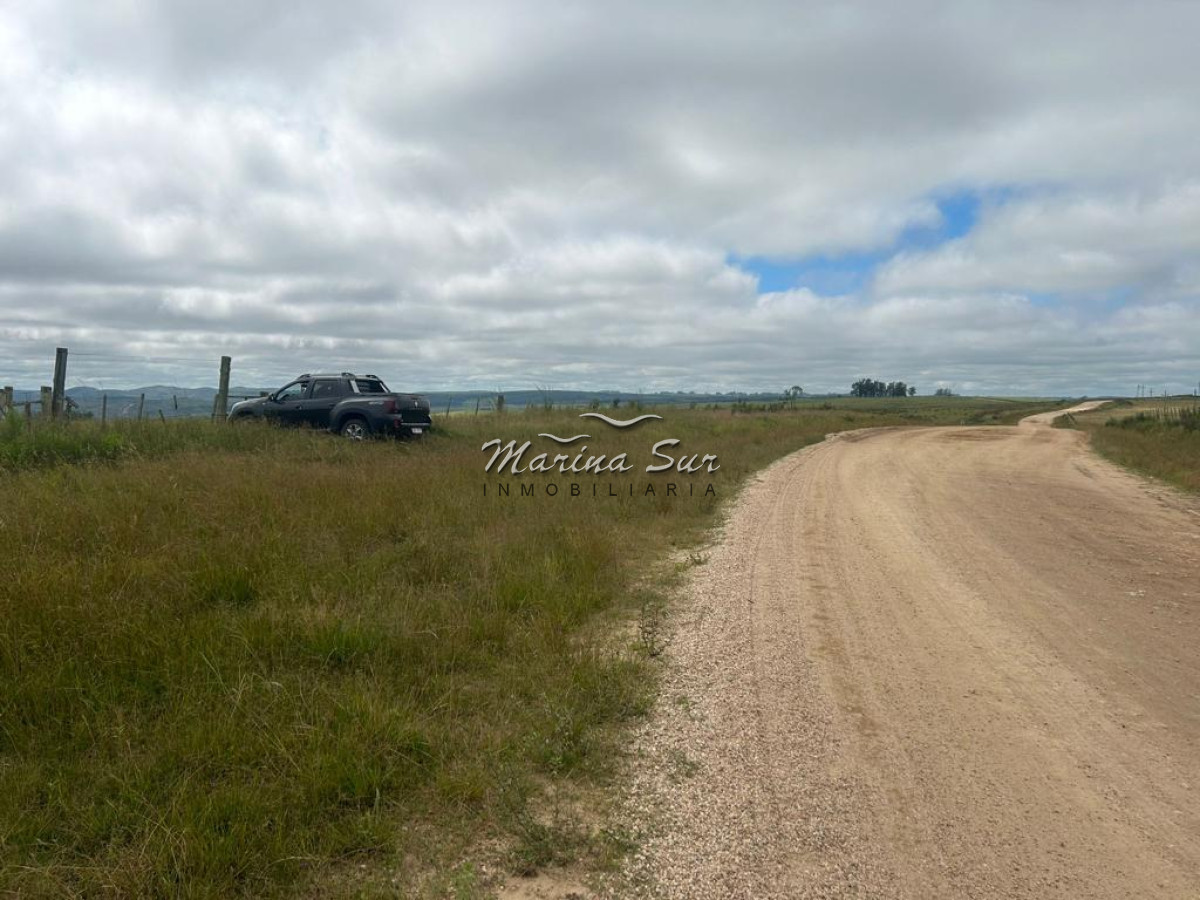 Campo Ref.83 - Campo en Venta 75ha Treinta y Tres
