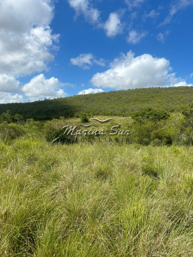 Campo Ref.81 - Campo En Venta 220ha Treinta y Tres