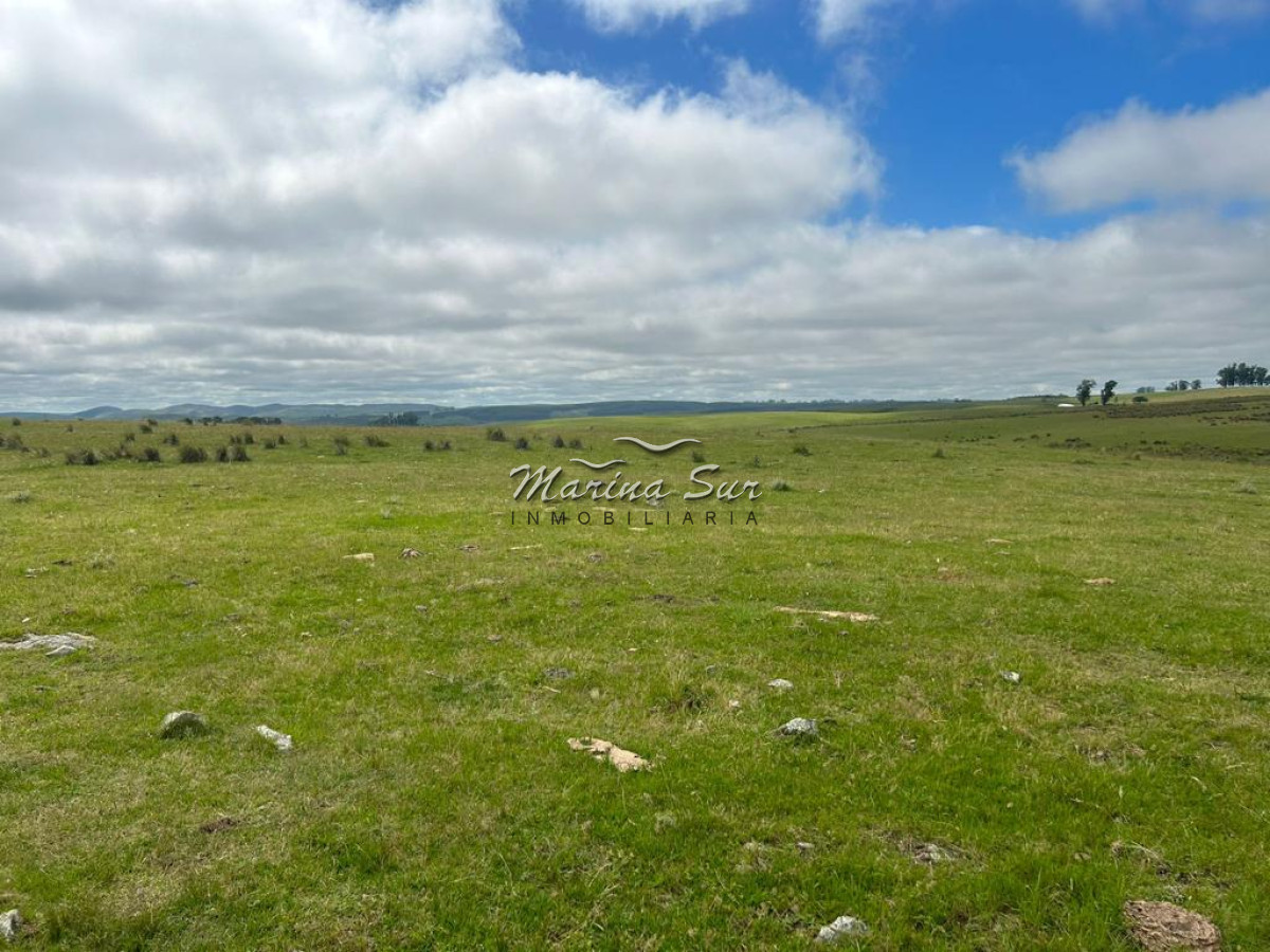 Campo Ref.83 - Campo en Venta 75ha Treinta y Tres